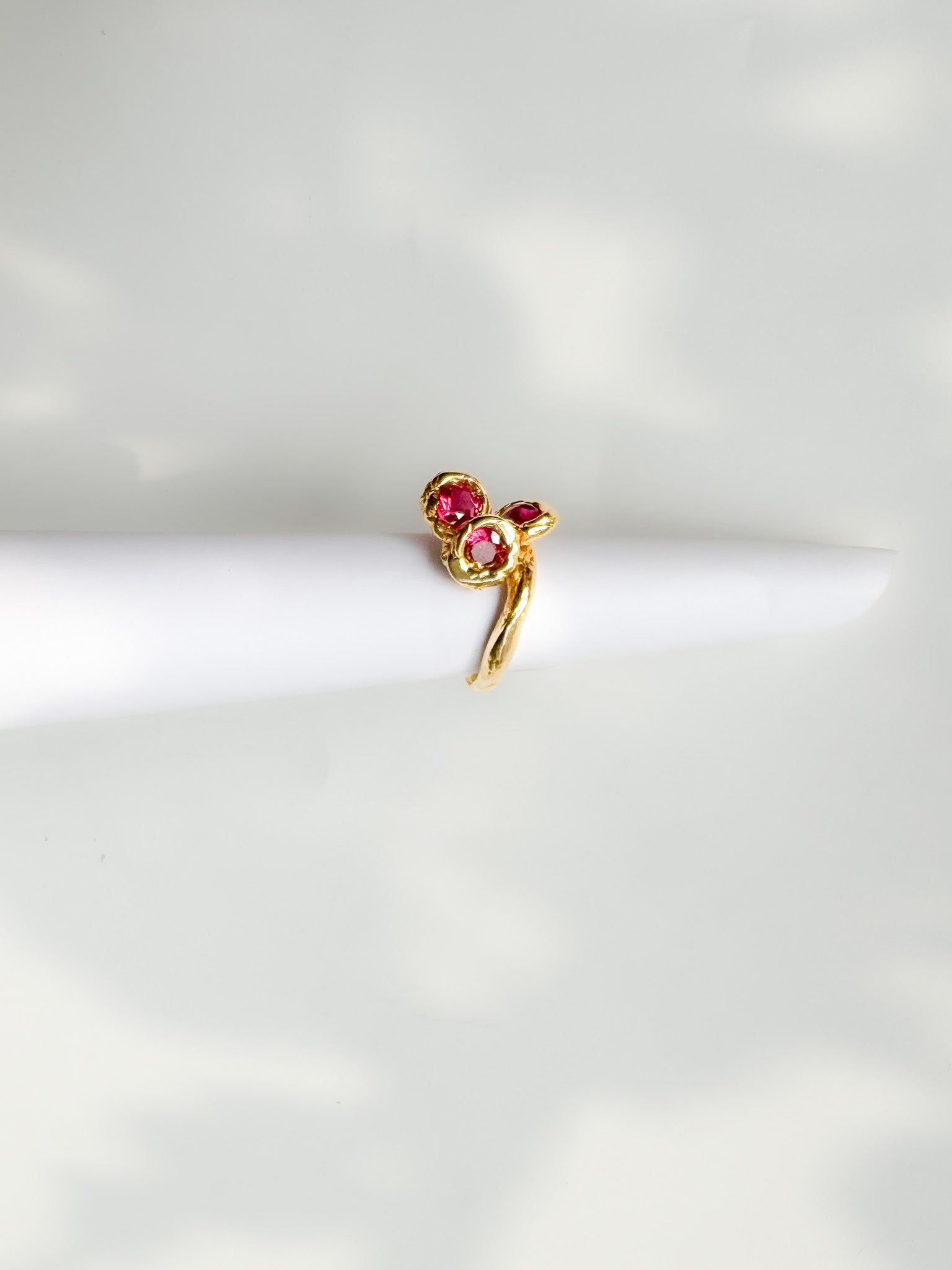 The Ruby Ring