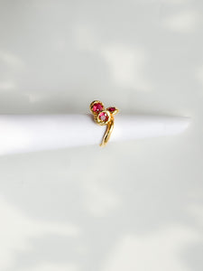 The Ruby Ring