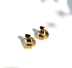 Chrysanthemum Studs