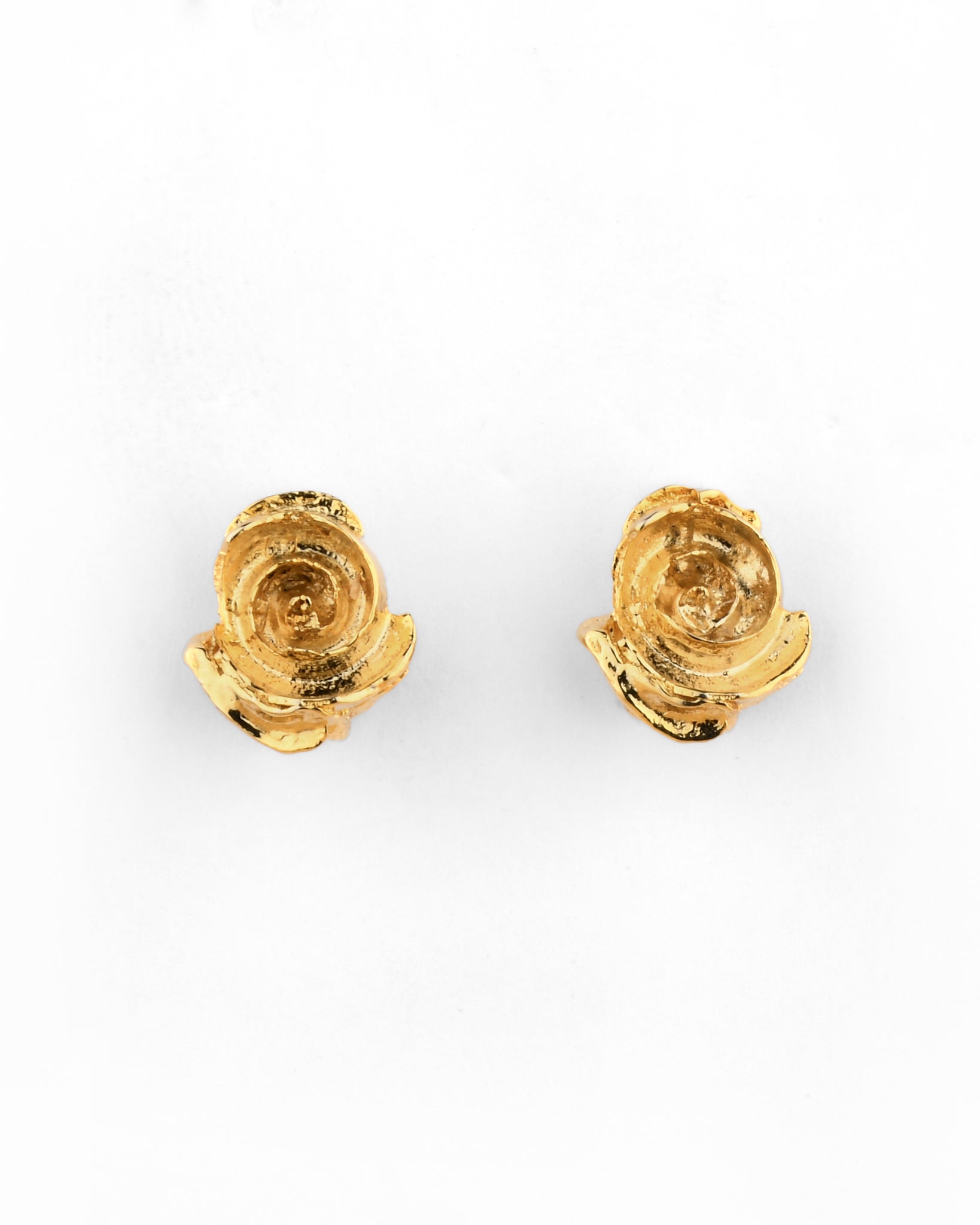 Reborn: The Miniature Coral Blooms