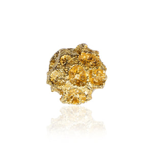 stone coral ring studio metallurgy reborn collection