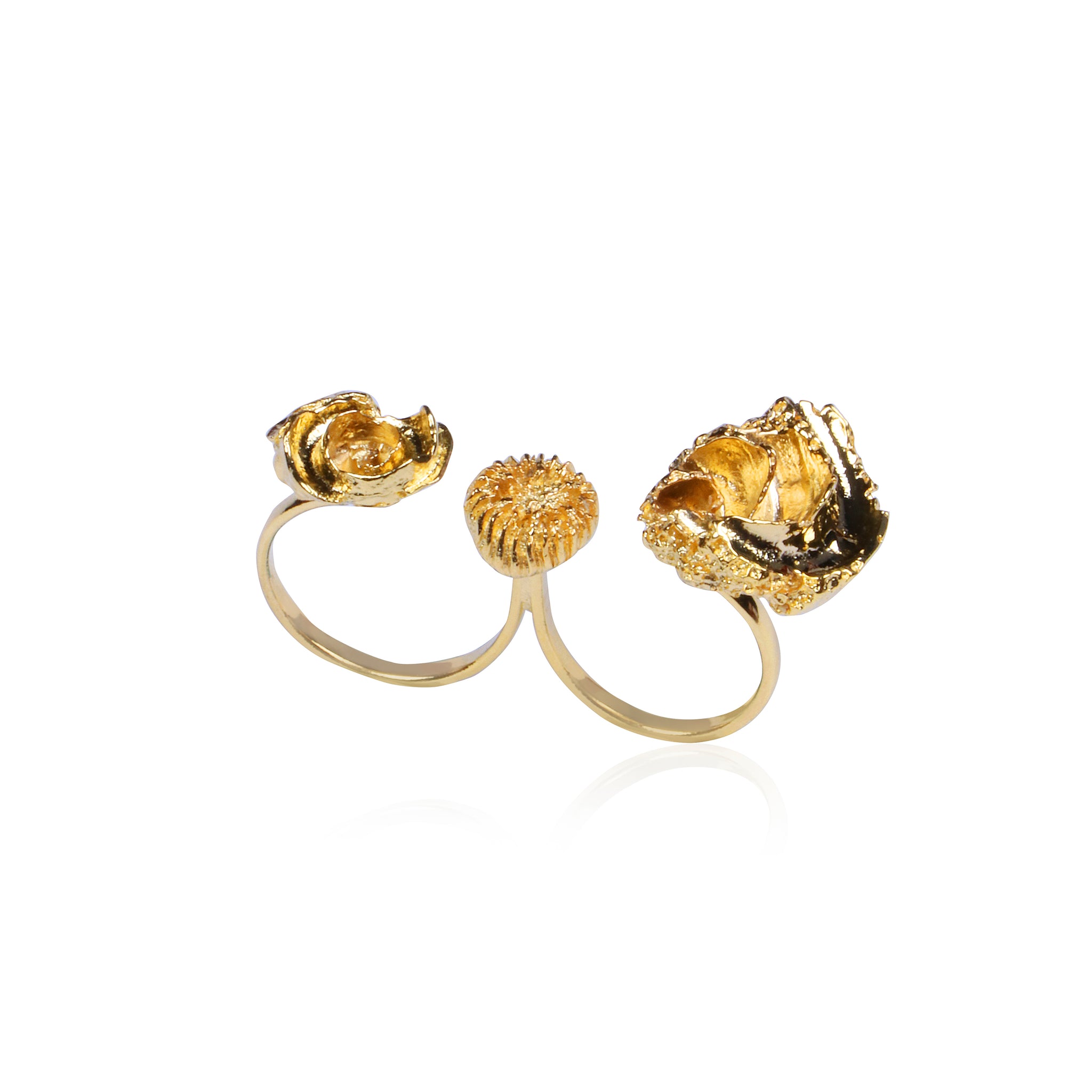 Studio metallurgy Reborn collection sea treasure ring