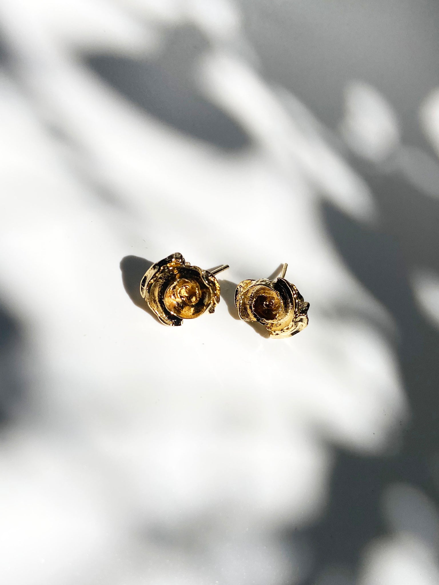 Reborn: The Miniature Coral Blooms