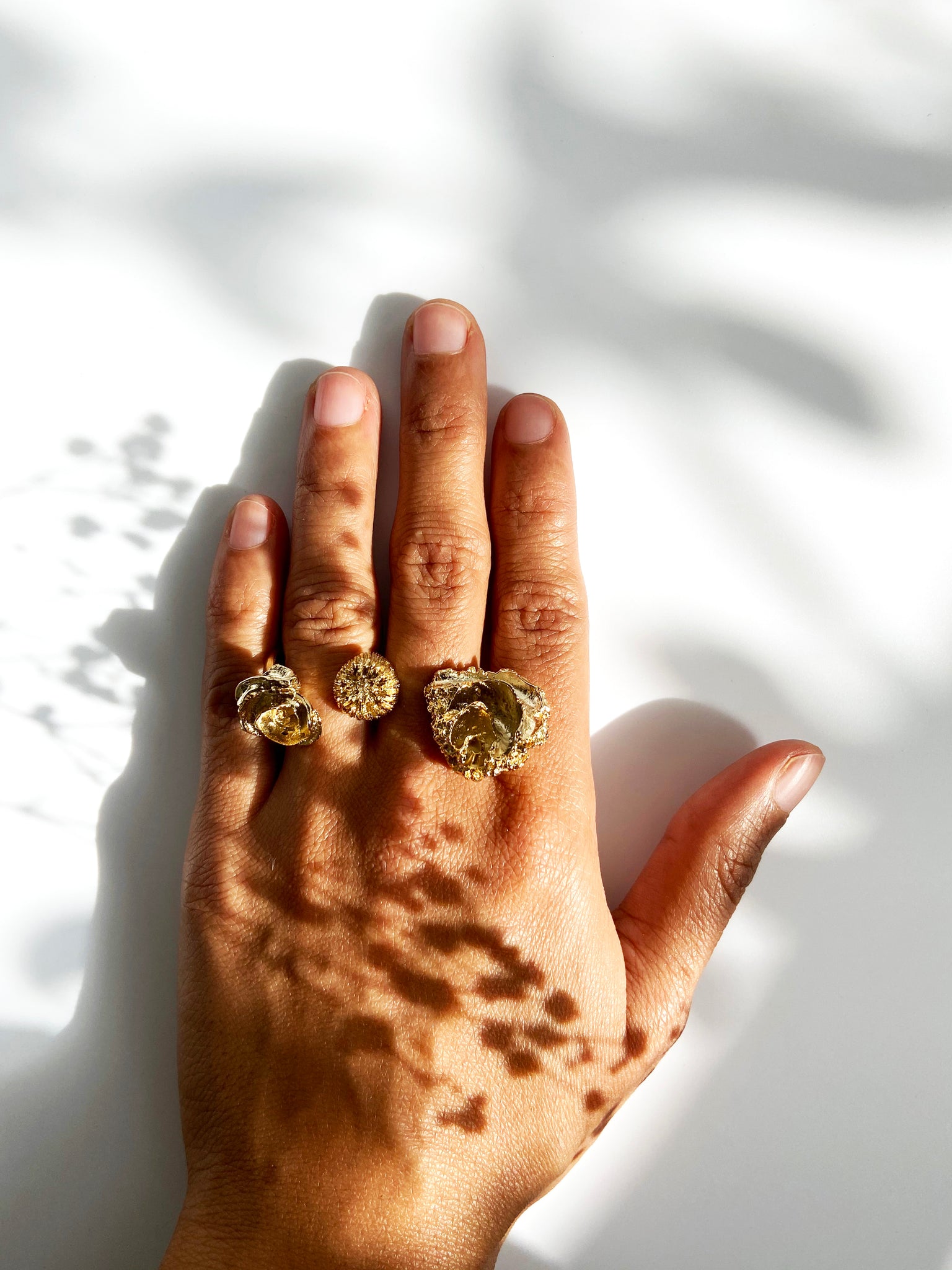 Studio metallurgy Reborn collection sea treasure ring