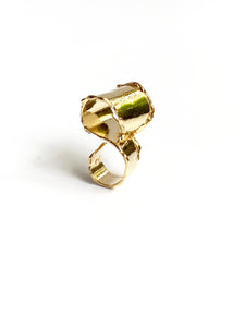 The Infinity Ring