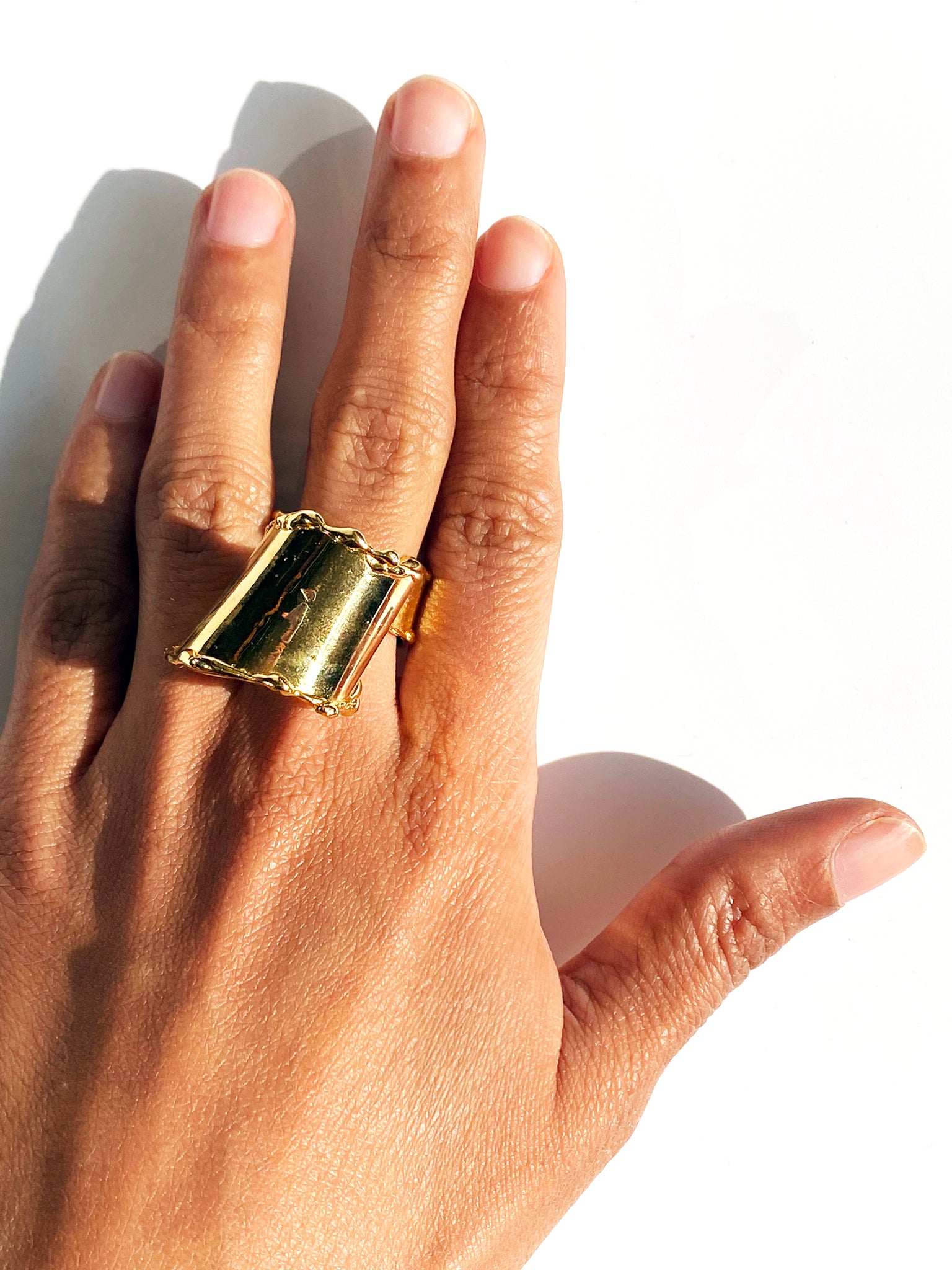 The Infinity Ring