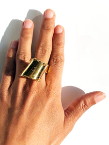 The Infinity Ring