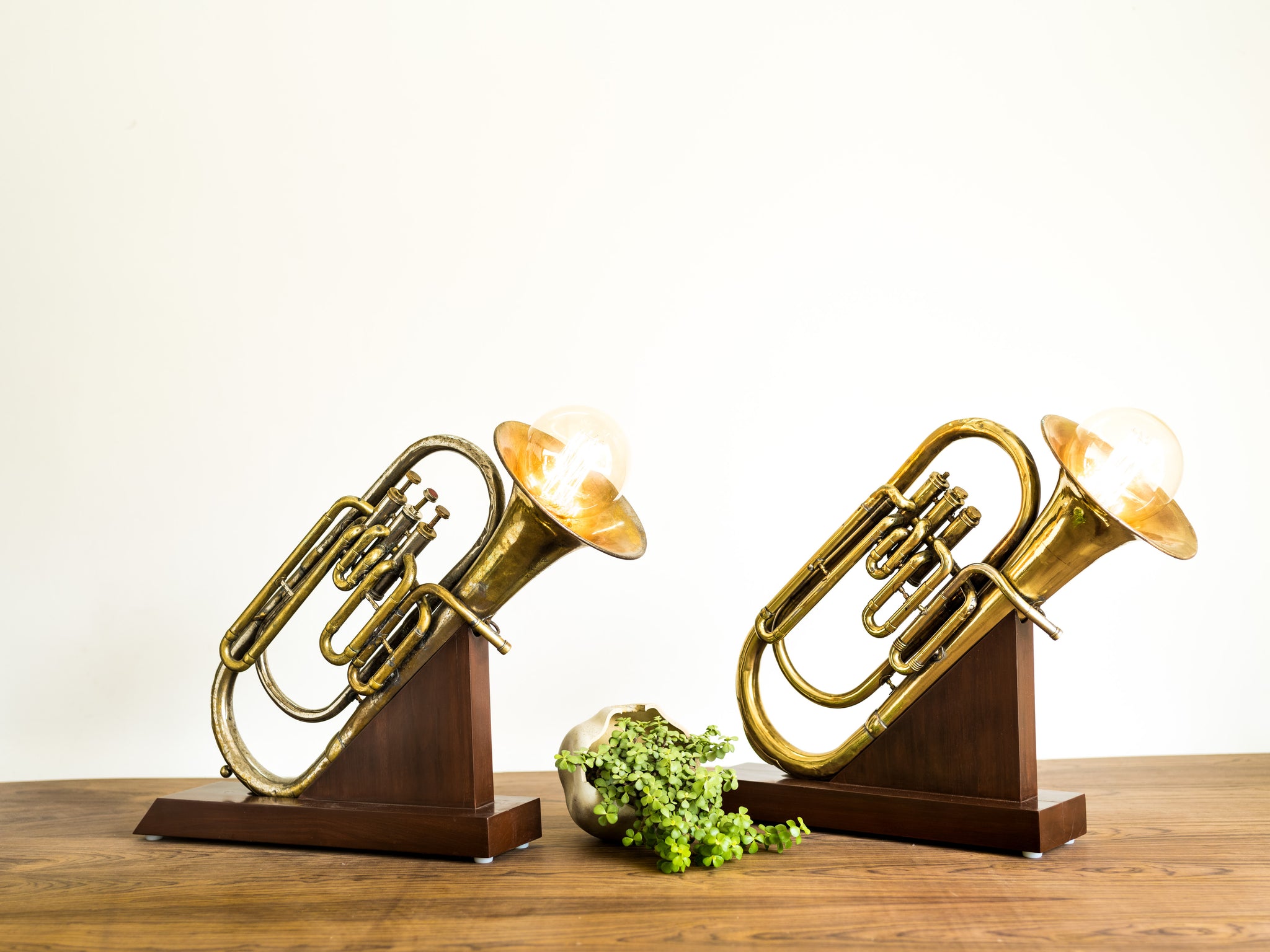 Euphonium Lamp